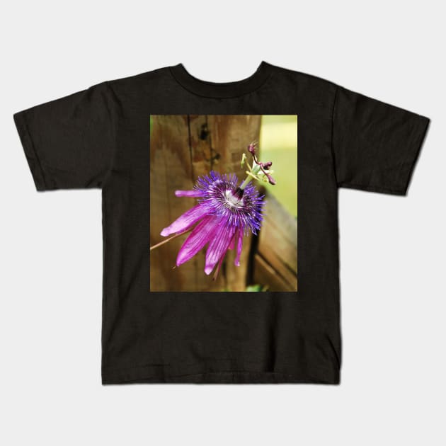 Lavender Lady Passiflora Kids T-Shirt by jojobob